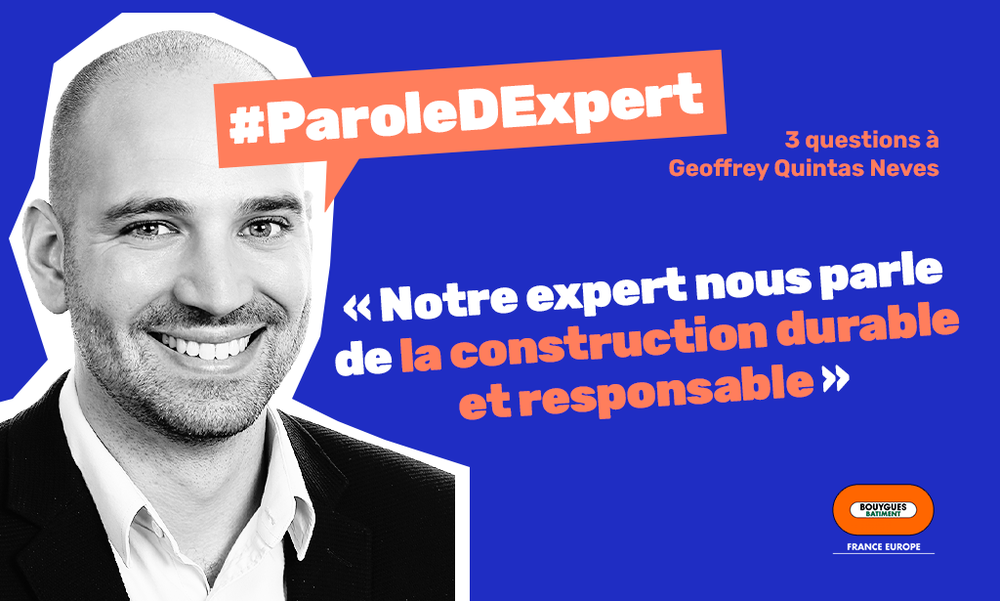 Das Wort des Experten