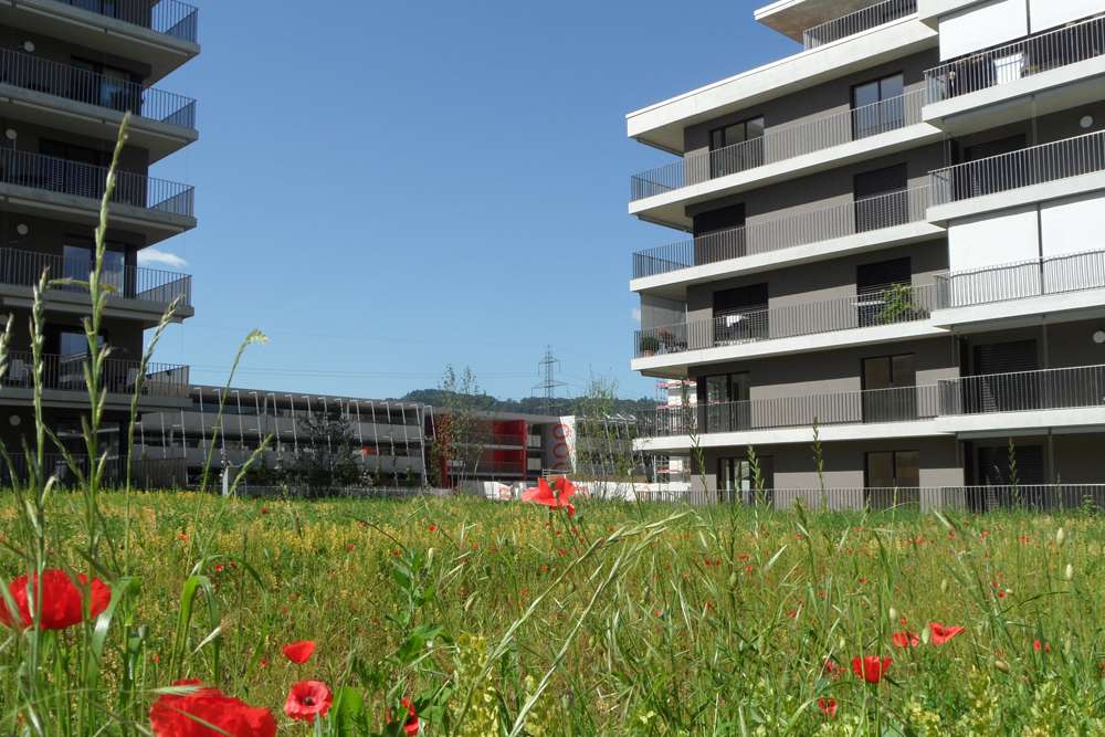 Das nachhaltige Quartier Eikenøtt erhält die Zertifizierung Natur & Wirtschaft
