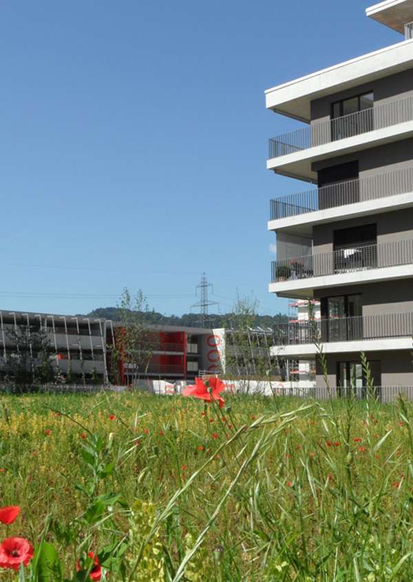 Das nachhaltige Quartier Eikenøtt erhält die Zertifizierung Natur & Wirtschaft
