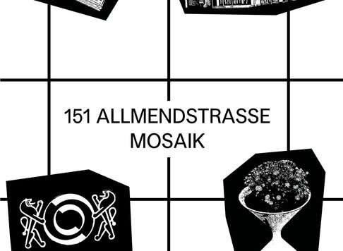 Kunstinstallation 151 Allmendstrasse Mosaik
